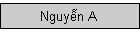 Nguyễn A&nbsp;